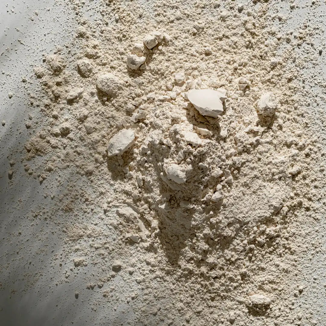 AMINOANIMO_rice_protein_lifestyle_3.webp