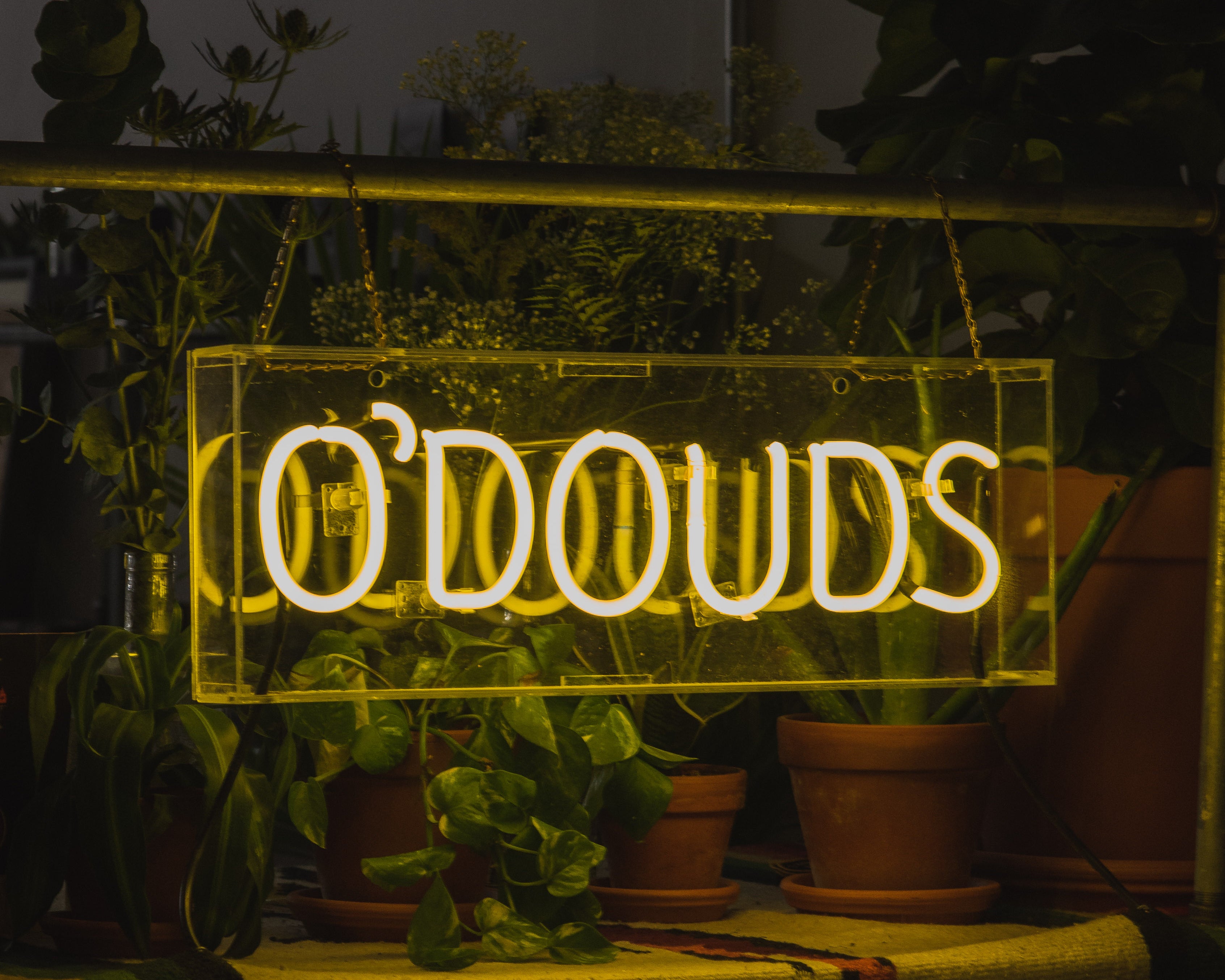 LAUNCH PARTY RECAP