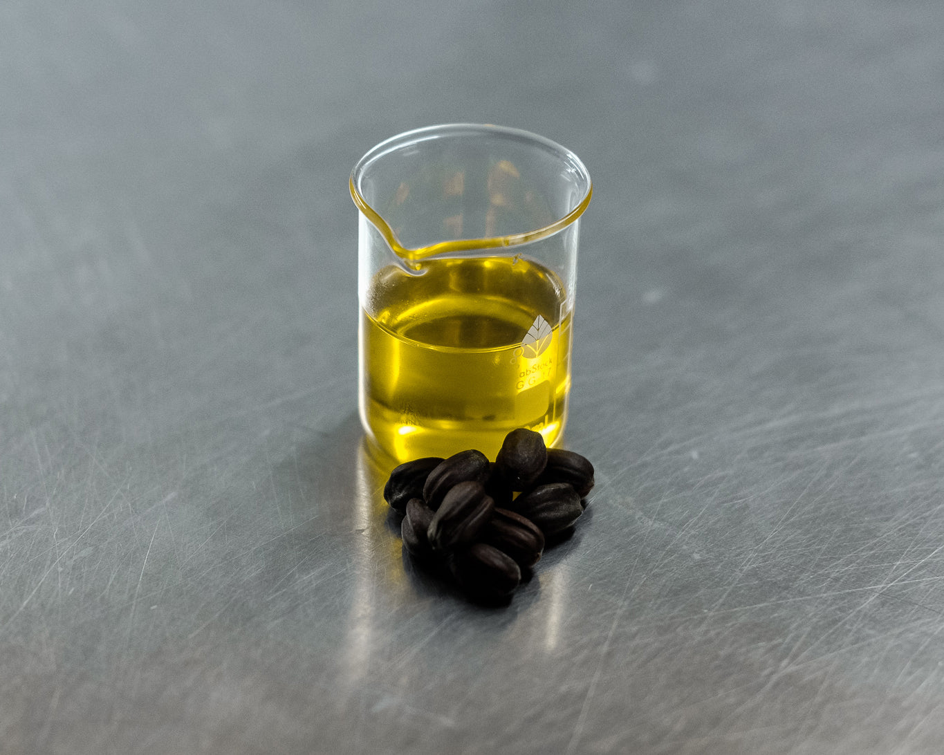 The Case for Jojoba Oil