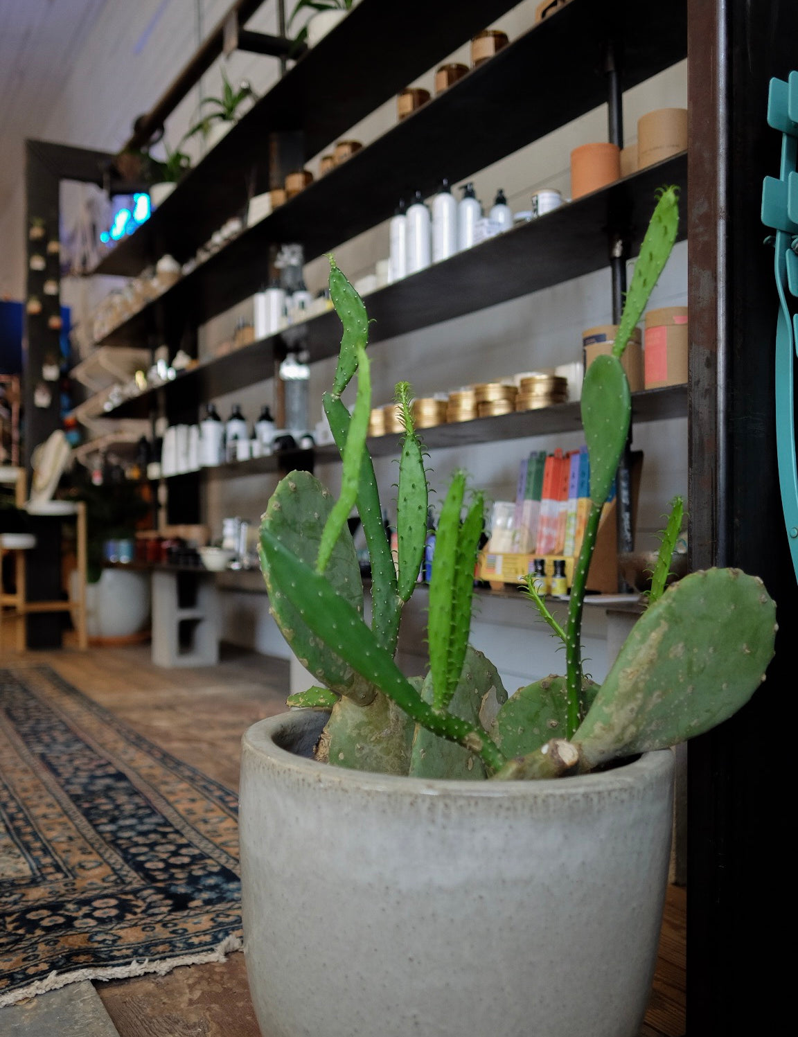 How to Support Small Businesses