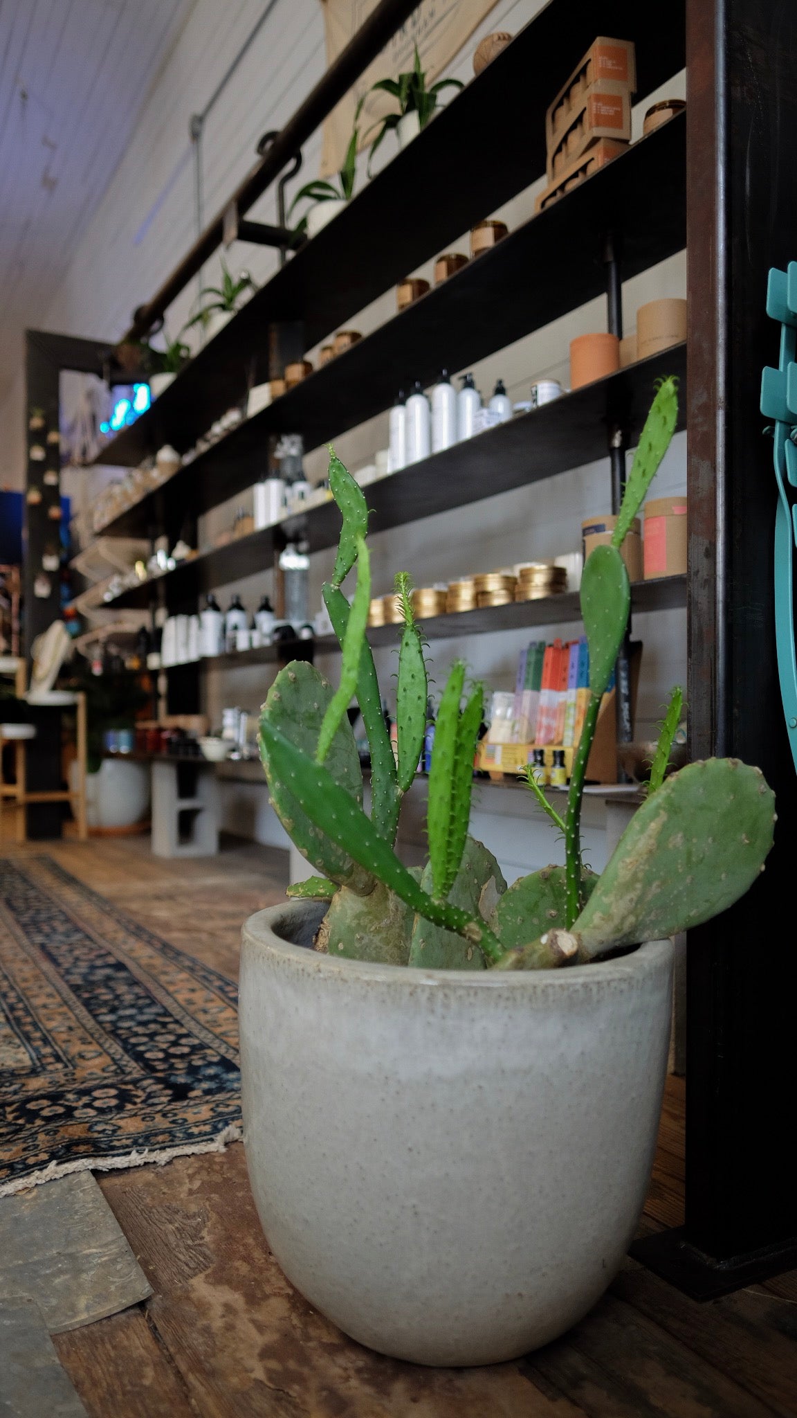 How to Support Small Businesses