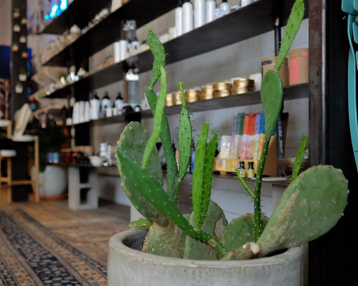 How to Support Small Businesses