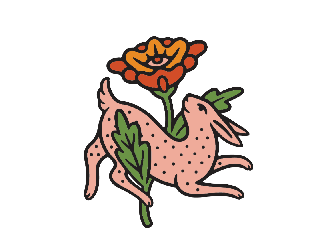 Vegan &amp; Cruelty Free